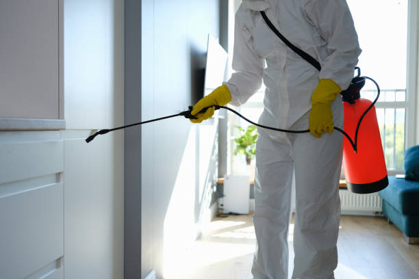 Best Toxic Mold Removal  in Estes Park, CO