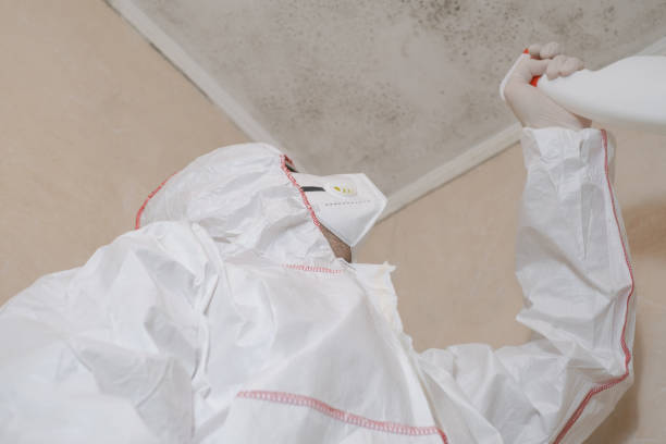 Best Crawl Space Mold Removal  in Estes Park, CO