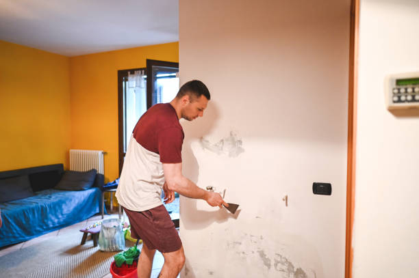 Best Affordable Mold Removal  in Estes Park, CO